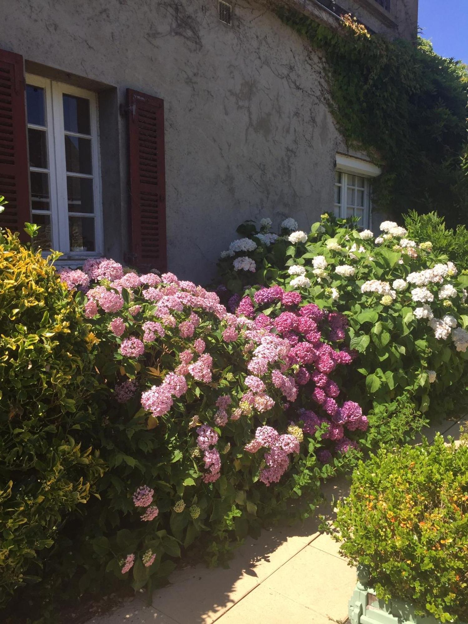 Chez Beatrice Apartment Herbignac Bagian luar foto